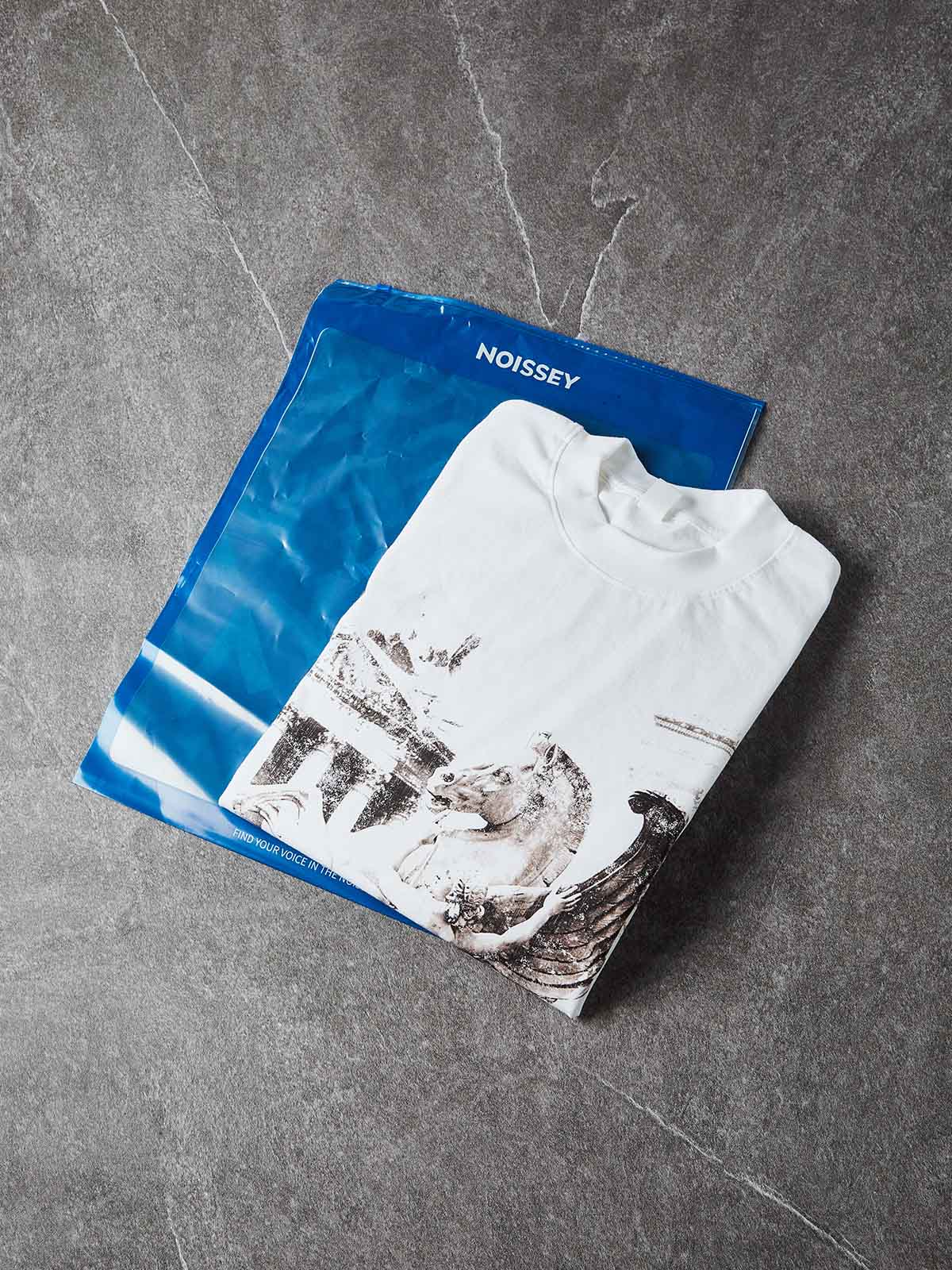 NOISSEY PEGASUS & TEMPLE VINTAGE GRAFT ART PRINT LONG SLEEVE - Image 5